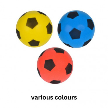 SOFT BALL 194MM ASSORTED