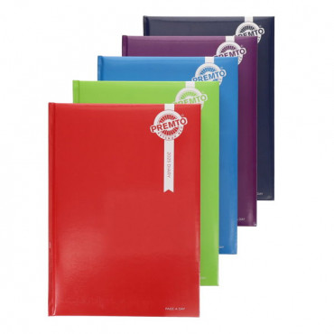 A4 2025 Page A Day Diary assorted