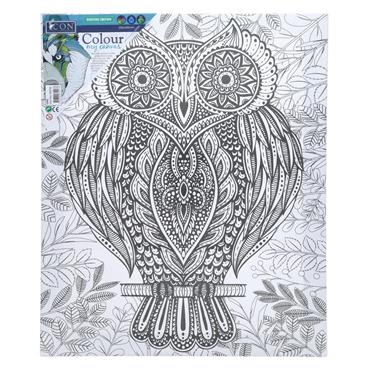 Icon 250x300mm Colour My Canvas - Owl