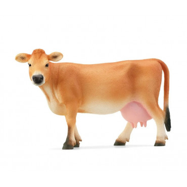 JERSEY COW