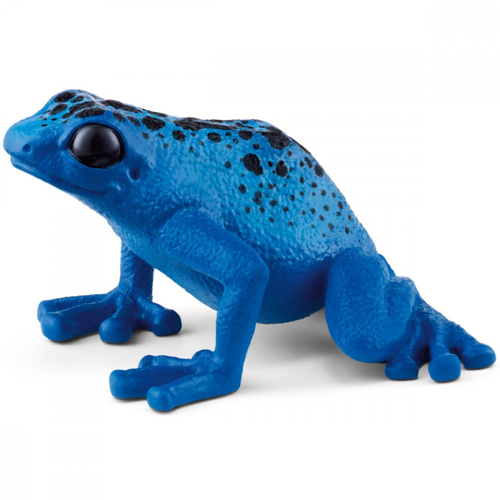 Poison Dart Frog