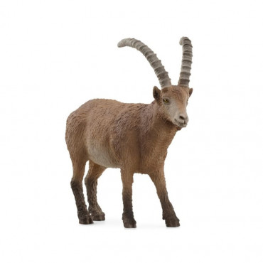 Ibex