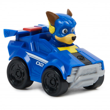 PUP Squad Racers