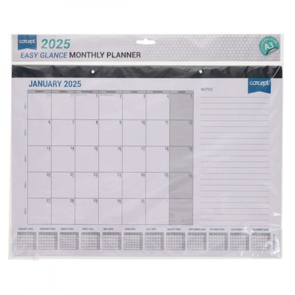 A3 2025 Easy Glance Monthly Planner